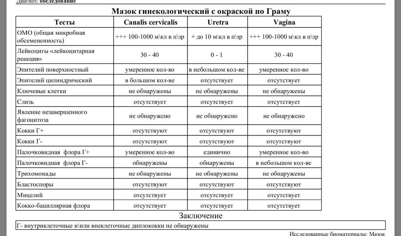 Показатели мазка у женщин норма таблица Показатели мазка у женщин норма таблица