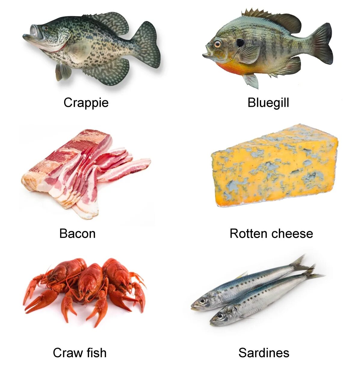 Lenguado рыба. Catfish eat Fish. What do Fish eat. Рыбки примерная цена. I fish перевод