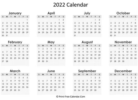 10 11 неделя 2024