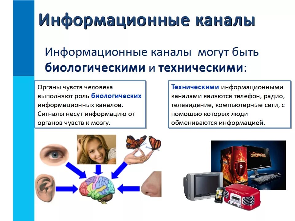 Также передаем информацию