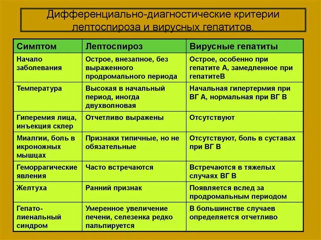 Каких следующих заболеваний. Дифференциальная диагностика острых вирусных гепатитов. Лептоспироз дифференциальная диагностика. Лептоспироз и вирусный гепатит дифференциальная диагностика. Гепатит а дифференциальная диагностика с лептоспирозом.