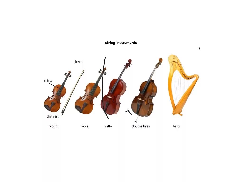 String section. String instruments. скрипка альт виолончель контрабас раскраска. stringed instruments.