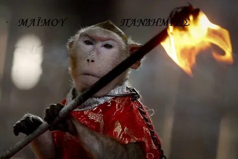 Обезьяна огонь