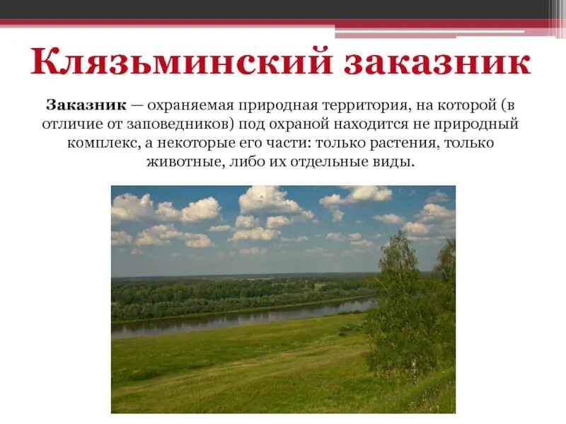 Заповедник во владимирской области. Клязьминский Республиканский заказник. Клязьменский заказник Ивановская область. Клязьминский Гороховецкий заказник. Природный заповедник в Иванове.