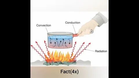 Порно әйелдің киска және сиқы бар