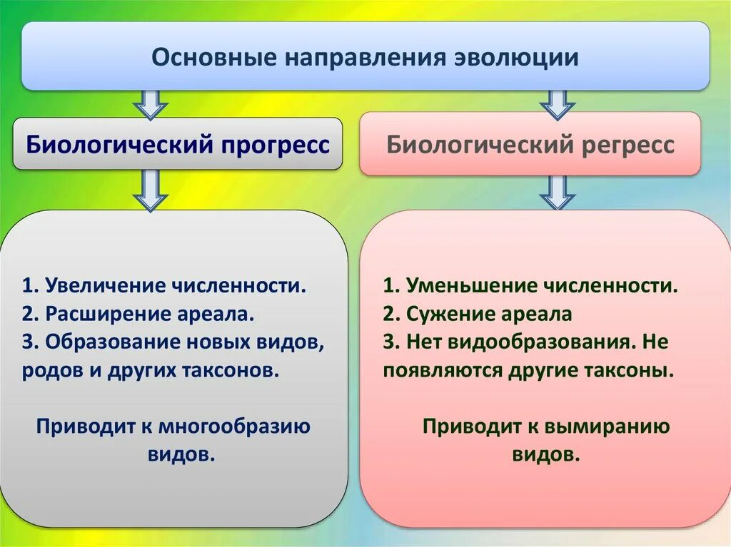 Направления развития прогресс. Основные направления эволюции биологический регресс. Направления эволюции биология 11 класс. Основные оправдания эволюции. Основные направления эволюции схема.