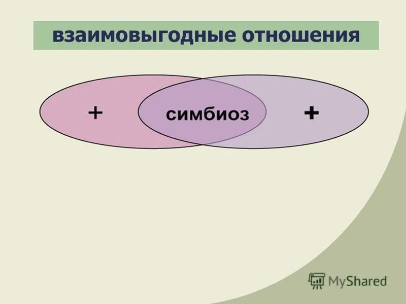 Определите взаимо