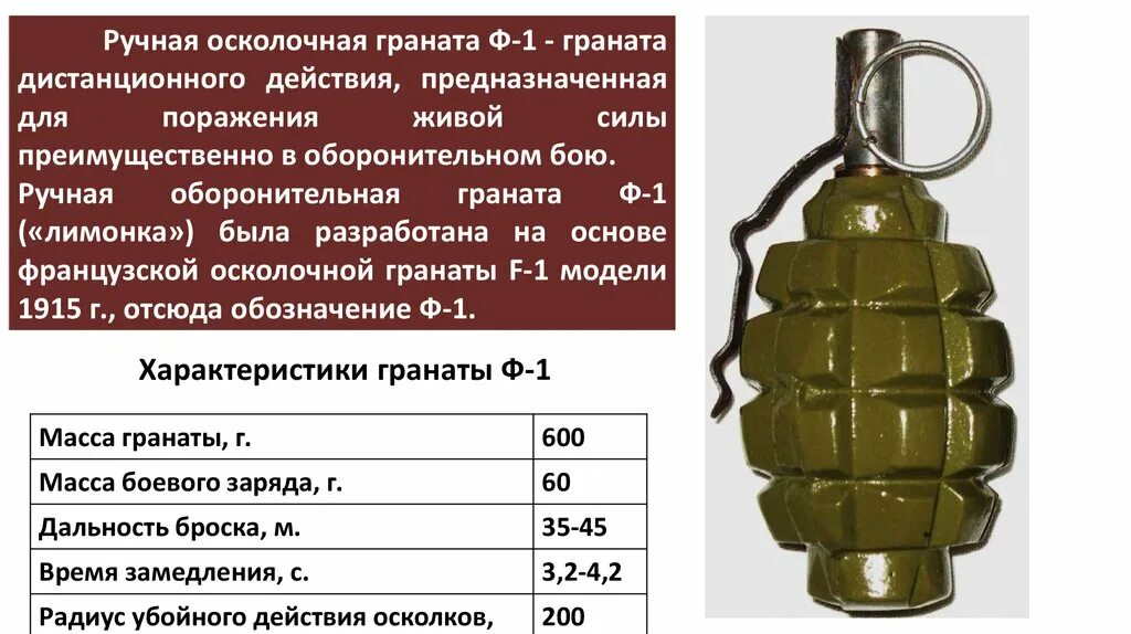 Сколько граната можно. Характеристики гранат ф1 и РГД. Граната ф1 и РГД 5. Устройство ручных осколочных гранат РГД-5 И Ф-1. Ручные осколочные гранаты ТТХ.