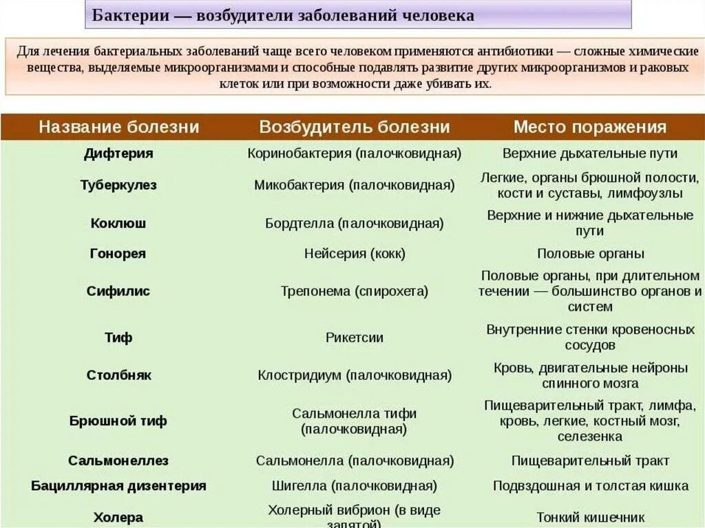 Какие инфекции вызывают. Бактериальные заболевания человека список бактерии возбудители. Возбудители бактериальных инфекций таблица. Болезни вызываемые бактериями таблица. Возбудители бактериальных заболеваний таблица.