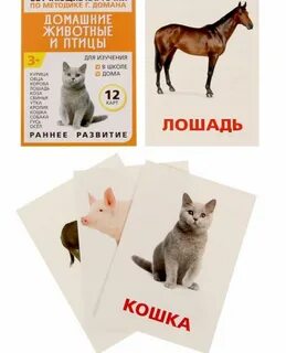Карточки домашние