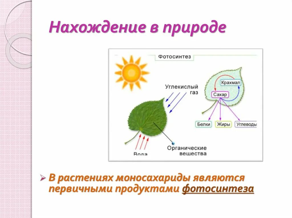 Глюкоза углекислый газ вода. Первичный продукт фотосинтеза. Нахождение в природе крахмала. Образование крахмала в природе. Образование крахмала в процессе фотосинтеза.