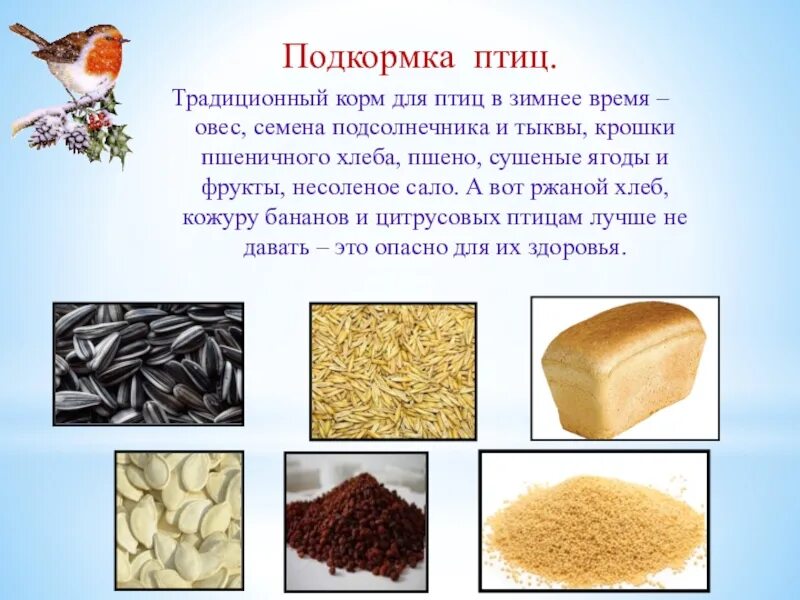 Какую крупу можно давать синичкам