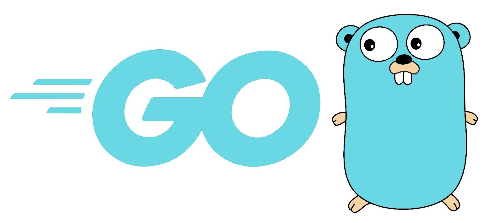 Golang value. Golang логотип. Go язык программирования логотип. Golang язык программирования. Логотипы языков программирования go lang.