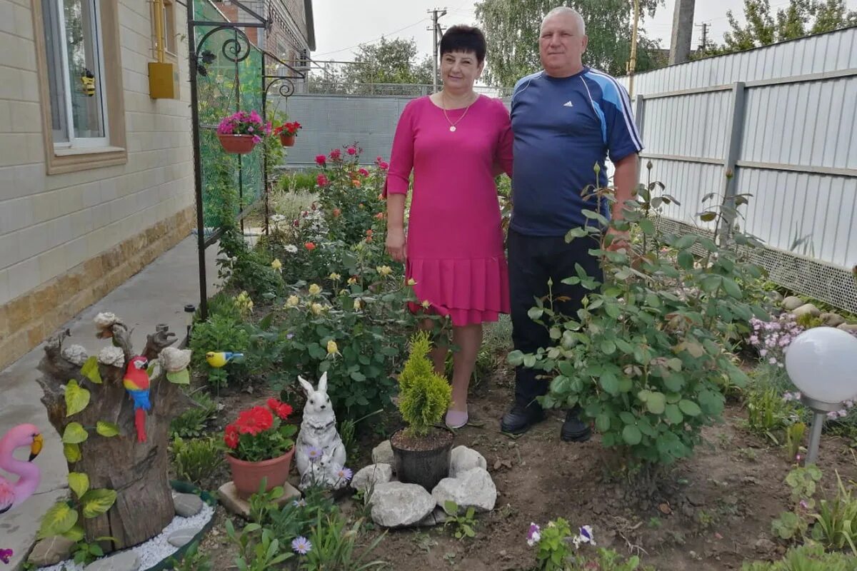 Краснодарский край новопокровская незамаевский. Поселок Незамаевский. Пос Незамаевский Новопокровский район Краснодарский край. Незамаевский посёлокновоивановская станица.