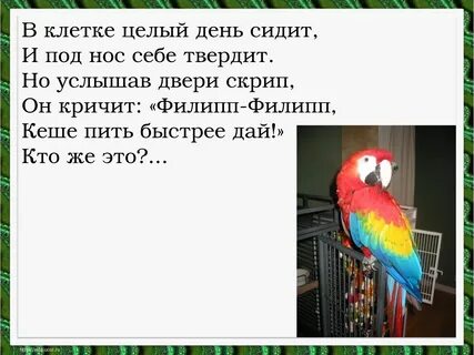 Целый день сидит