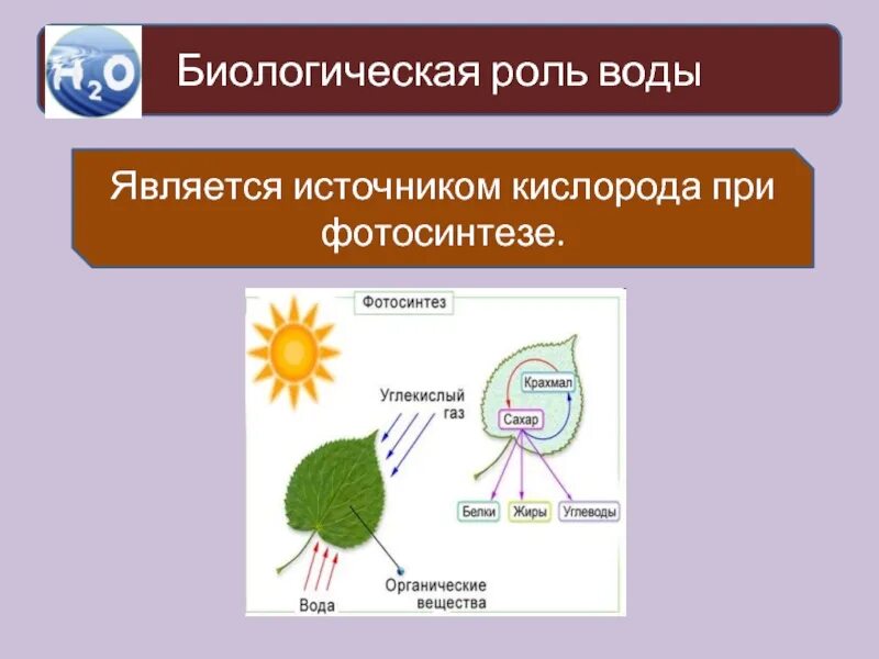 Вода является источником кислорода