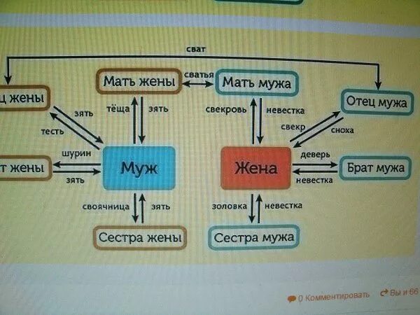 Кем приходится жена брата