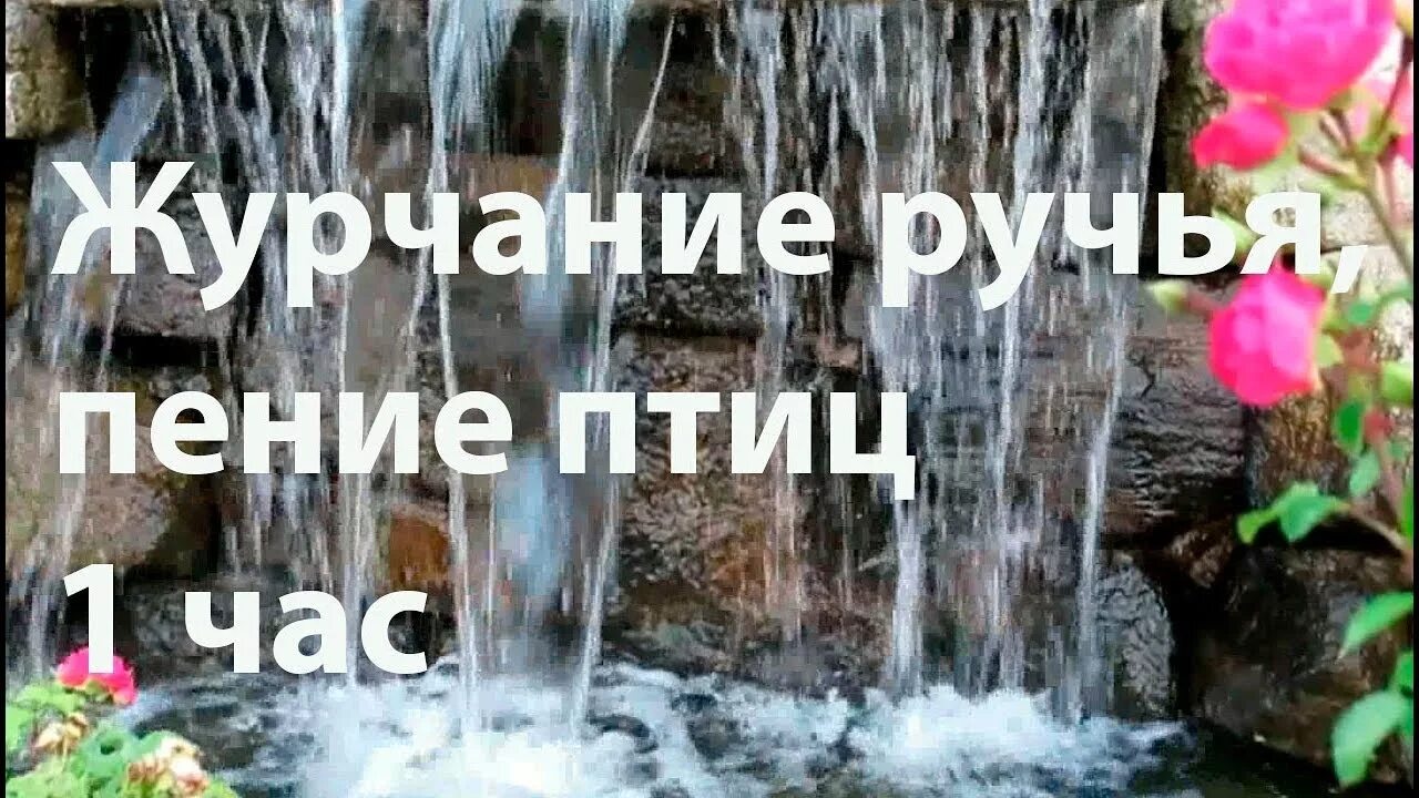 Журчание ручья и пение птиц. Пение птиц,журчанье ручья для засыпаеия ребенку. Шум ручья и пение видео для сна. Журчание воды звук.