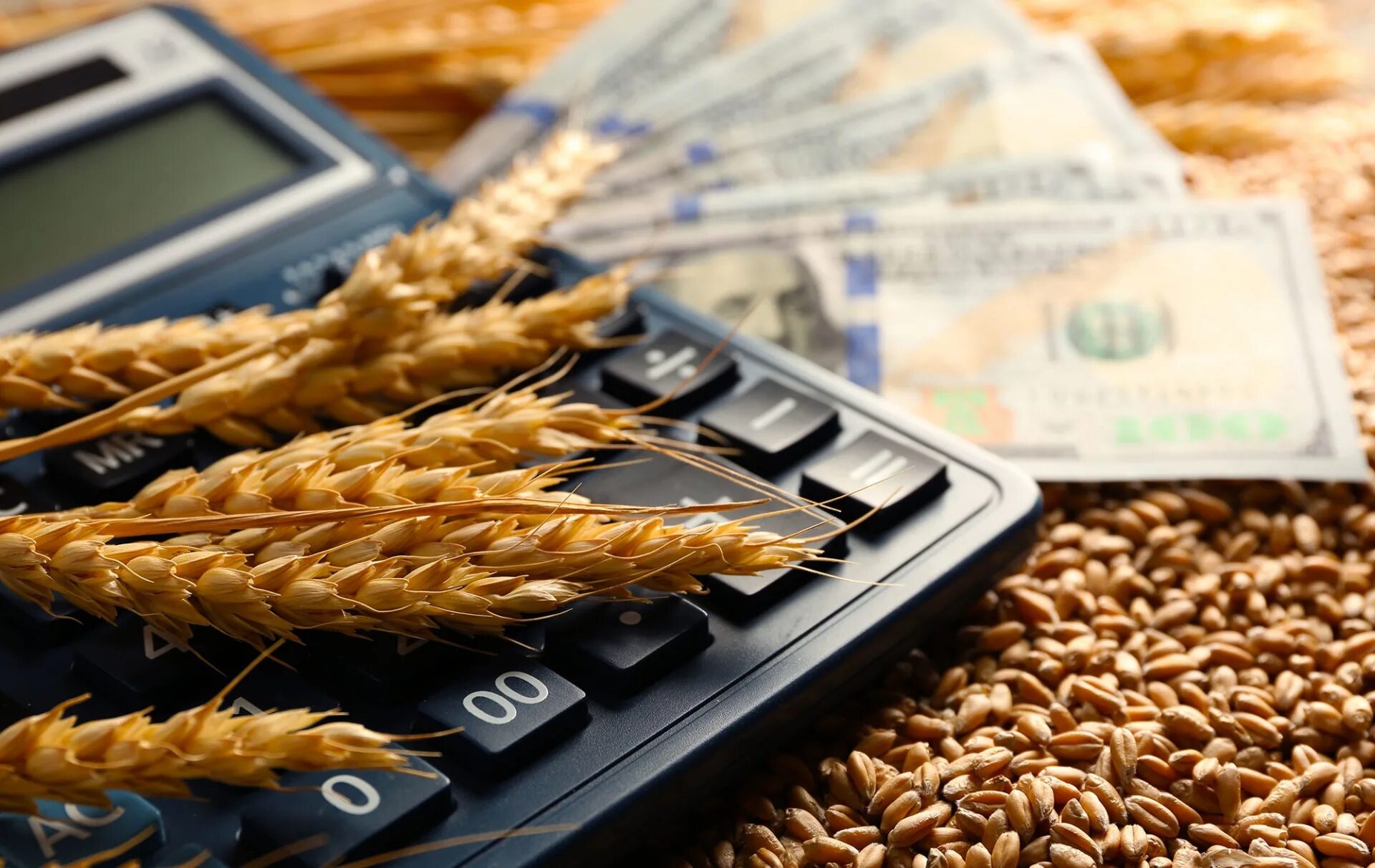 Микробы на деньгах. Субсидии сельское хозяйство. Кредитование сельского хозяйства. Деньги фермерам. Деньги фермерам.