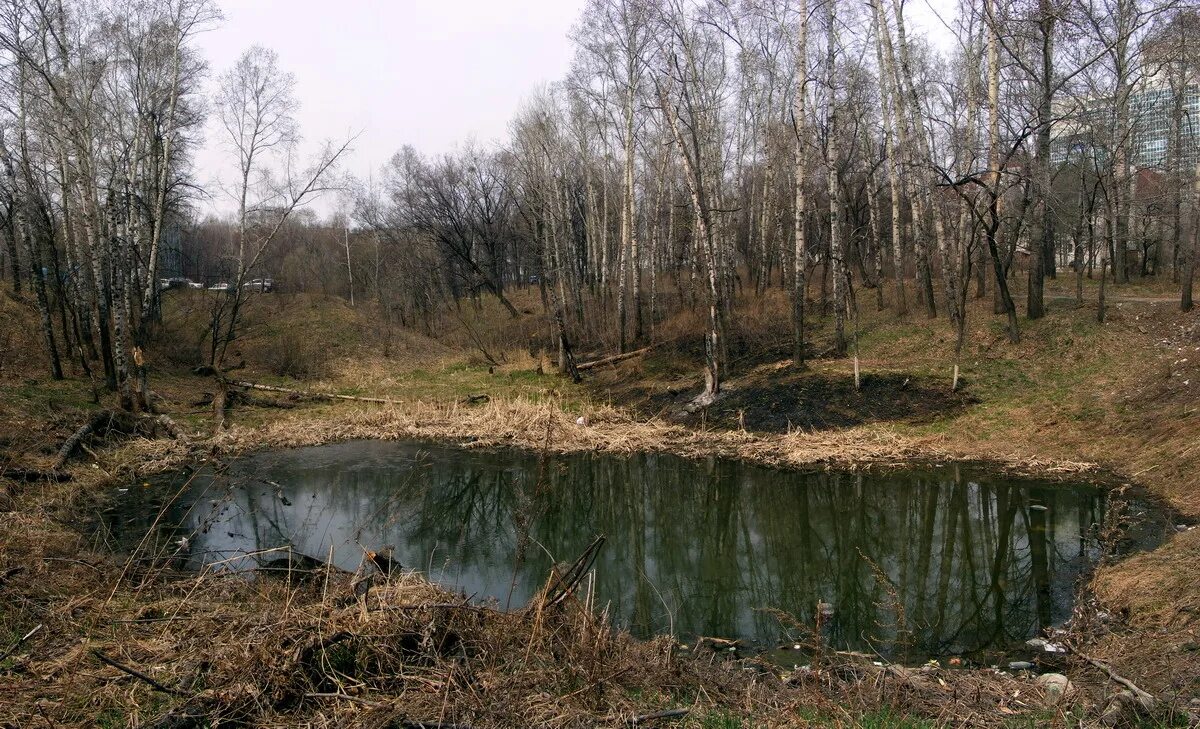 Заброшенный прудик. Пруды Хабаровск. Городской парк прудик Кировград. Заброшенный пруд