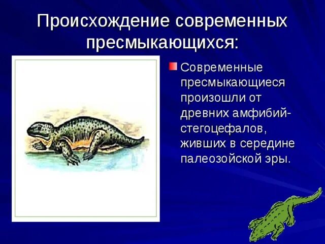 Значение и разнообразие пресмыкающихся. Разнообразие пресмыкающихся. древние пресмыкающиеся. многообразие древних пресмыкающихся. древние пресмыкающиеся представители.