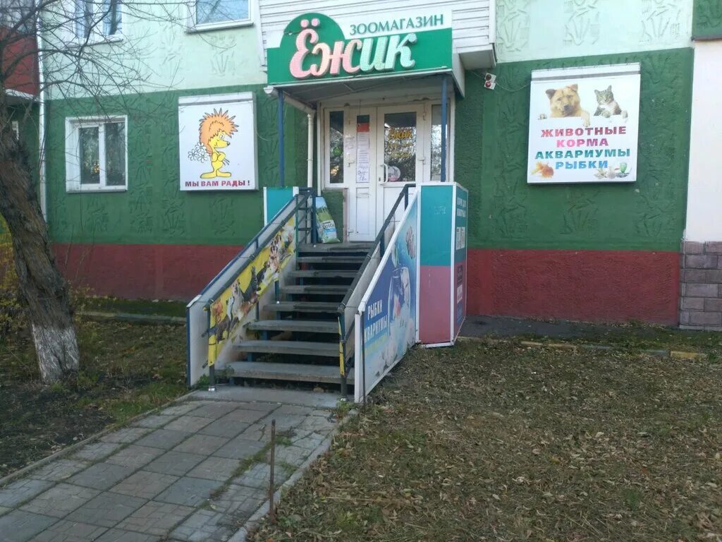 ежик зоомагазин. африканский еж. зоомагазин ежик. зоомагазин ежик. зооцентр ёжик брянск.