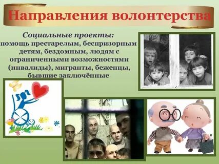 Социальные проекты помощь