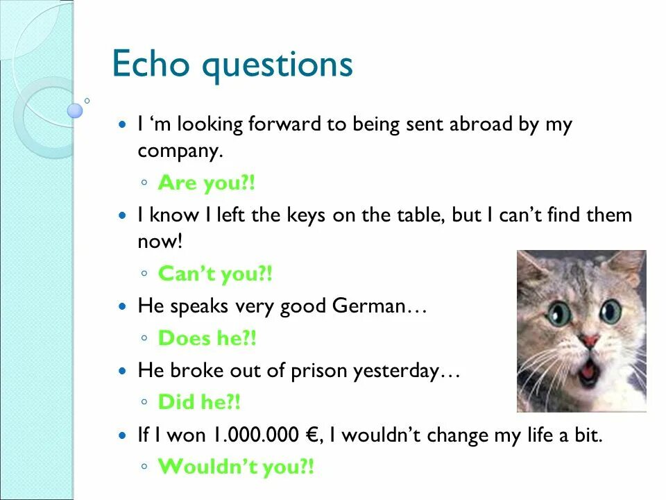 Вопрос эхо. Echo questions в английском. Эхо вопросы в английском языке. Echo questions упражнения. Reply questions в английском языке.