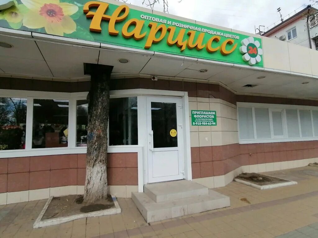 сочи, просвещения 153/3. улица 3 153. ул. улица 3 153. жк большая таманская краснодар.