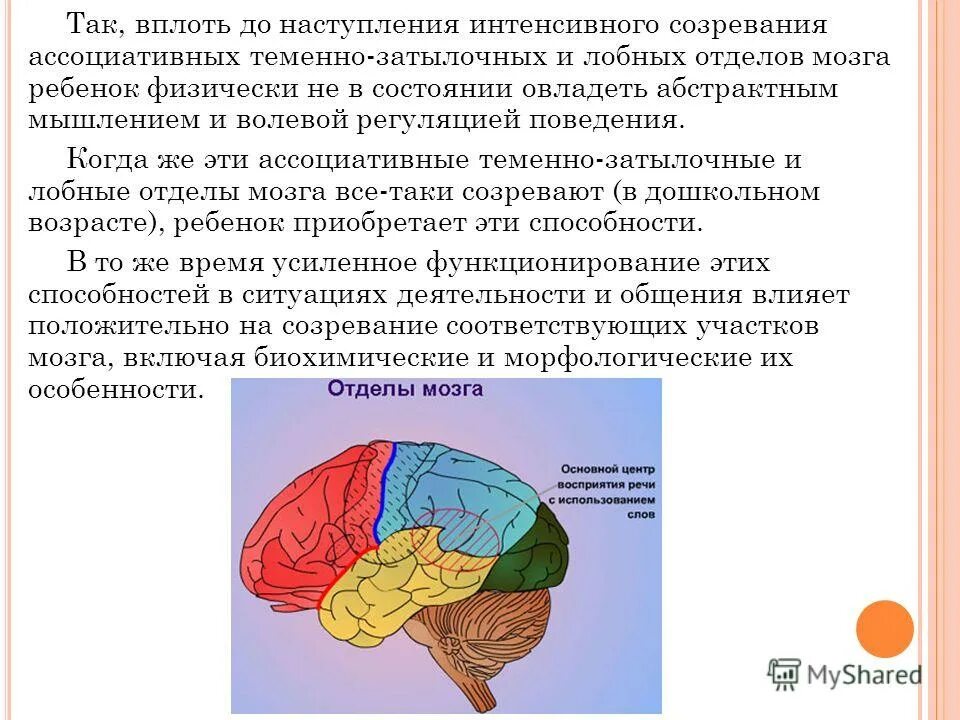 кора головного мозга зоны коры головного мозга. функции ассоциативной теменной коры. ассоциативные отделы мозга. ассоциативные зоны коры больших полушарий функции. соматосенсорная кора головного мозга.