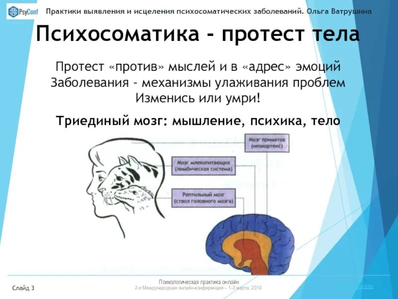 Психосоматика практики исцеления. Психосоматические аспекты лишнего веса картинки. Травма носа психосоматика. Психосоматическая модель Каплан. Исцеление психосоматикой