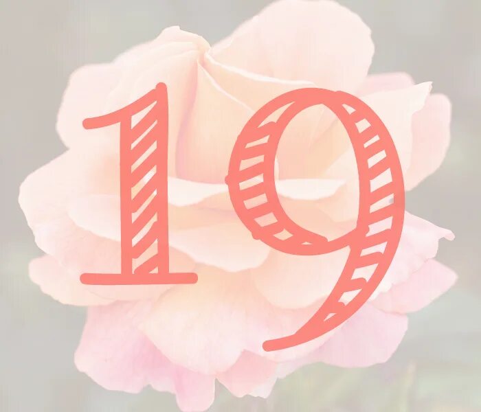 19 февраля число