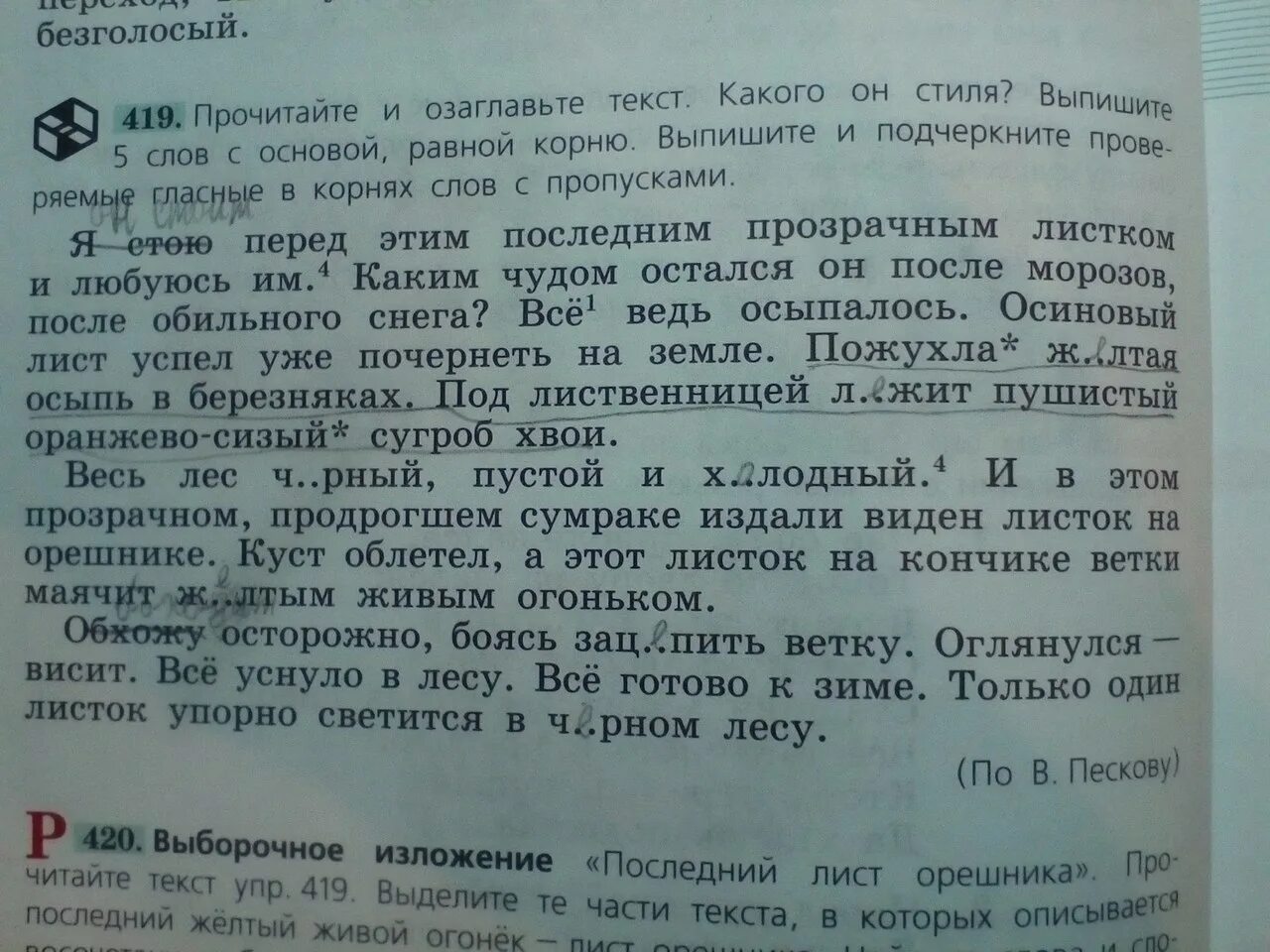 Издали были видны. Изложение на тему последний лист. Последний листок орешника изложение. Изложение и план последний лист орешника. Последний листок орешника изложение от третьего лица.