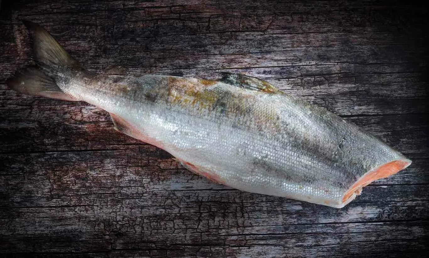 лосось кижуч. кета рыба замороженная. пикша рыба свежемороженая. кижуч дальневосточный пбг. треска сайда.