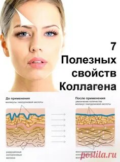 Что такое коллаген для чего он нужен