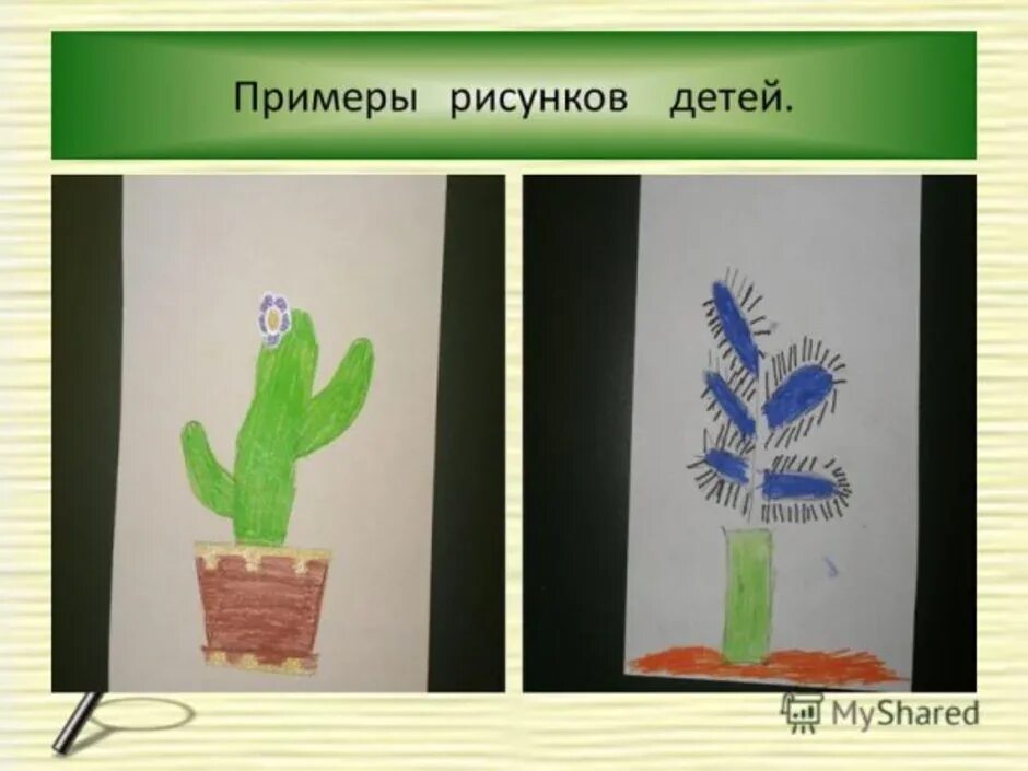 Графическая методика кактус м а. Графическая методика кактус для дошкольников. рисуночный тест кактус.