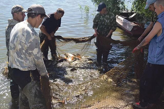 Пихтовка рыбхоз воткинский. Рыбное хозяйство гонганалицкое. Рыбхоз серебряные пруды. Моршанск рыбхоз. Рыбхоз чебаркуль.