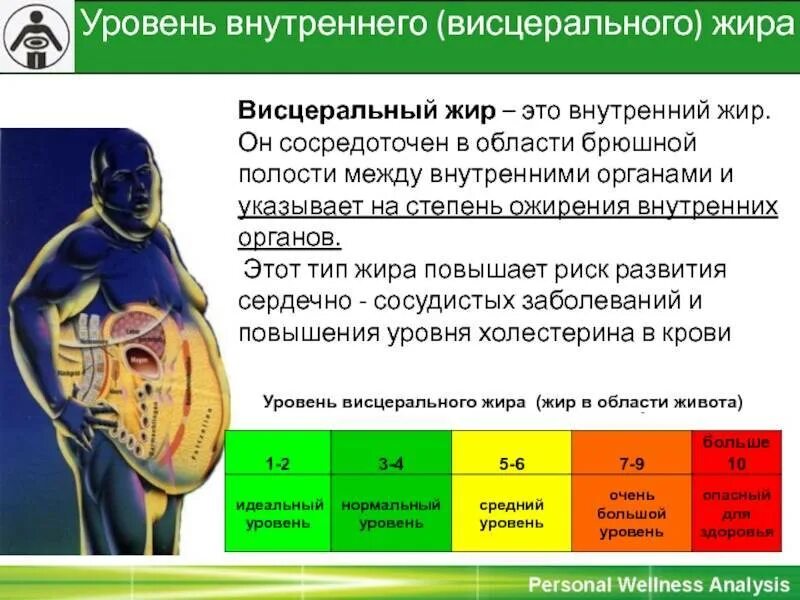 Как убрать внутренний жир. Уровень висцерального жира уровень. что такое висцеральный жир в организме. внутренний висцеральный жир.