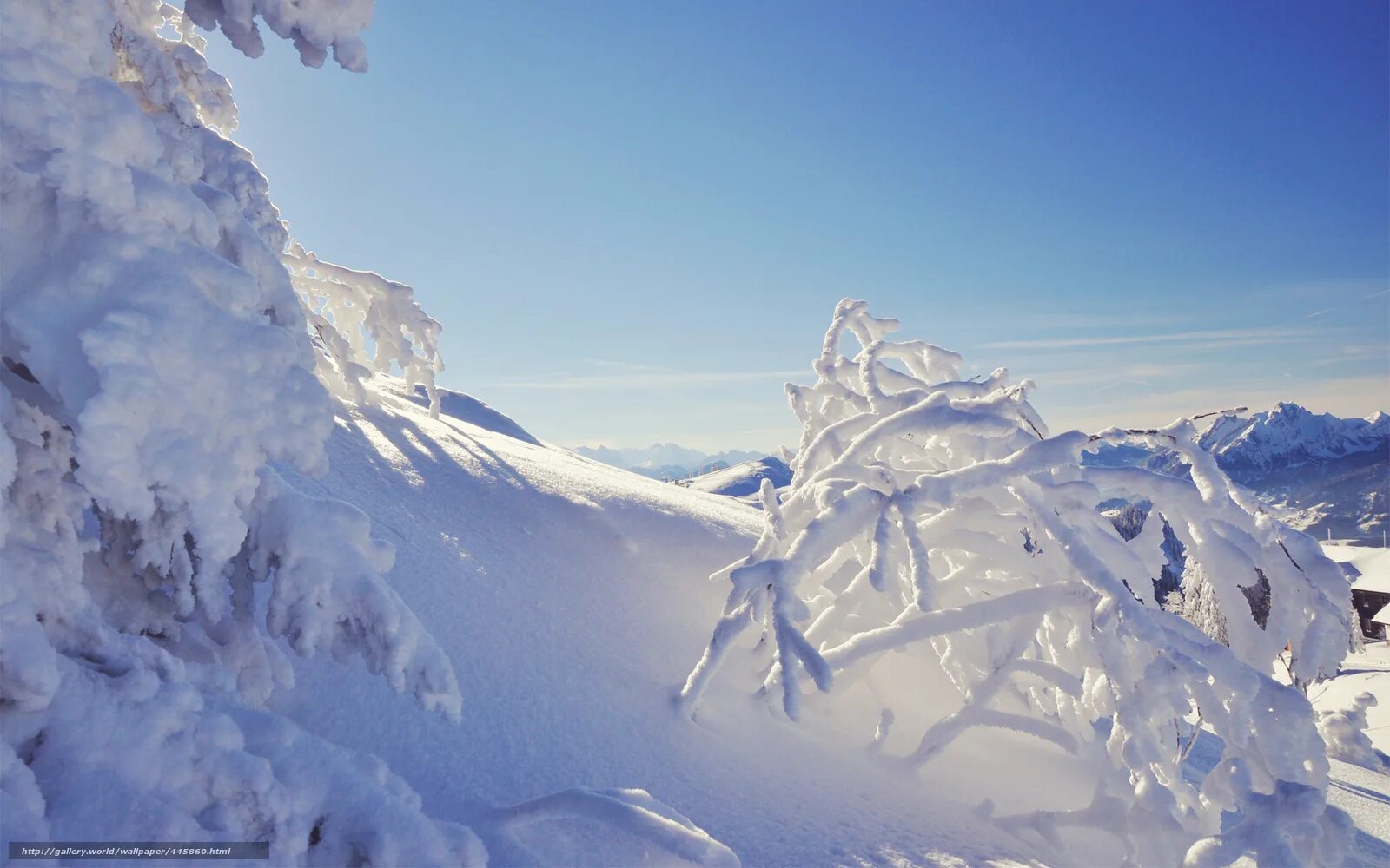 Snow covered mountain. Snow covered mountain. Заснеженные горы. Вершина домбай. Альпийские снежные горы.