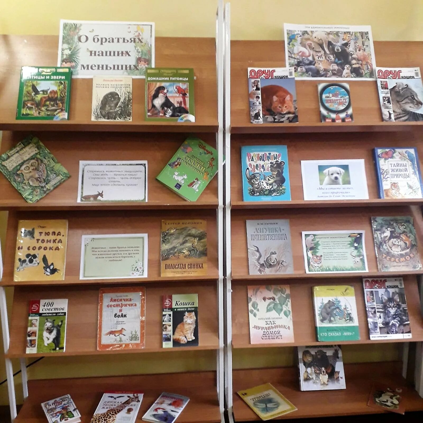 Креативные книжные выставки. Интересные выставки в библиотеке. Выставки в библиотеке. Выставки в библиотеке. Библиотечные книжные выставки.