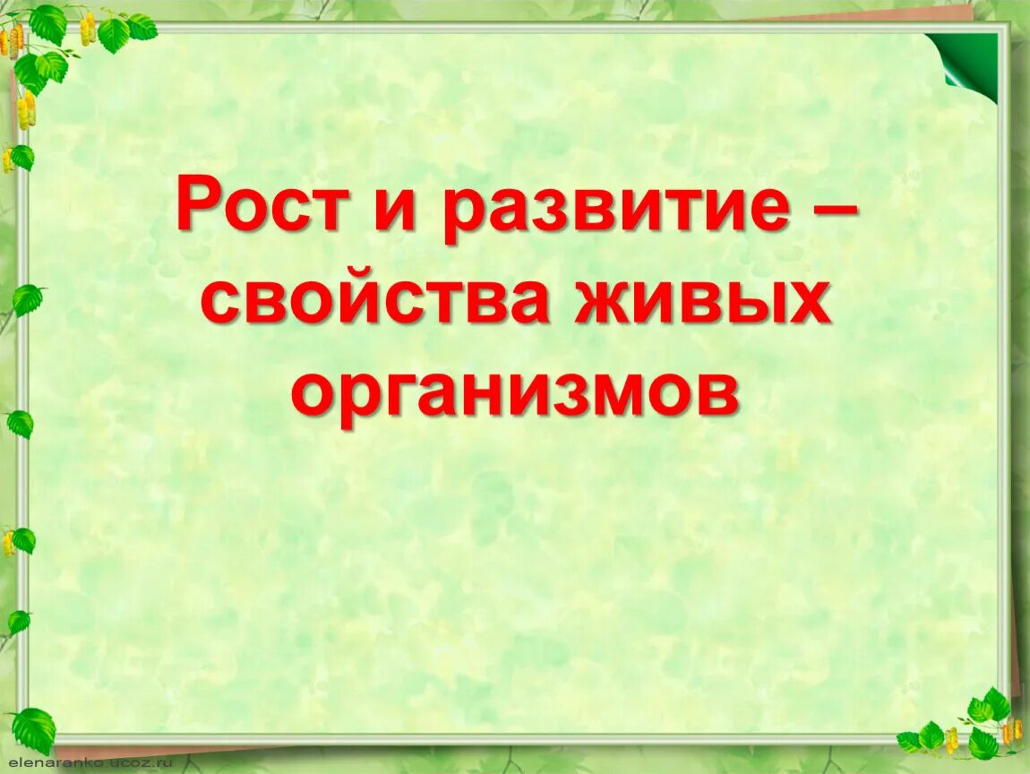 Рост и развитие свойства живых организмов. Рост и развитие свойства живых организмов кроссворд. Свойства живых организмов 6 класс. Биология 6 класс рост и развитие свойства живых организмов.