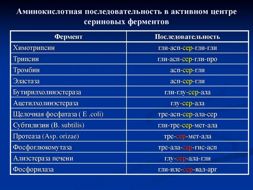 Ала сер про. Активный центр аминокислоты. Аминокислоты активного центра фермента. Аминокислотная последовательность. Последовательность аминокислот.