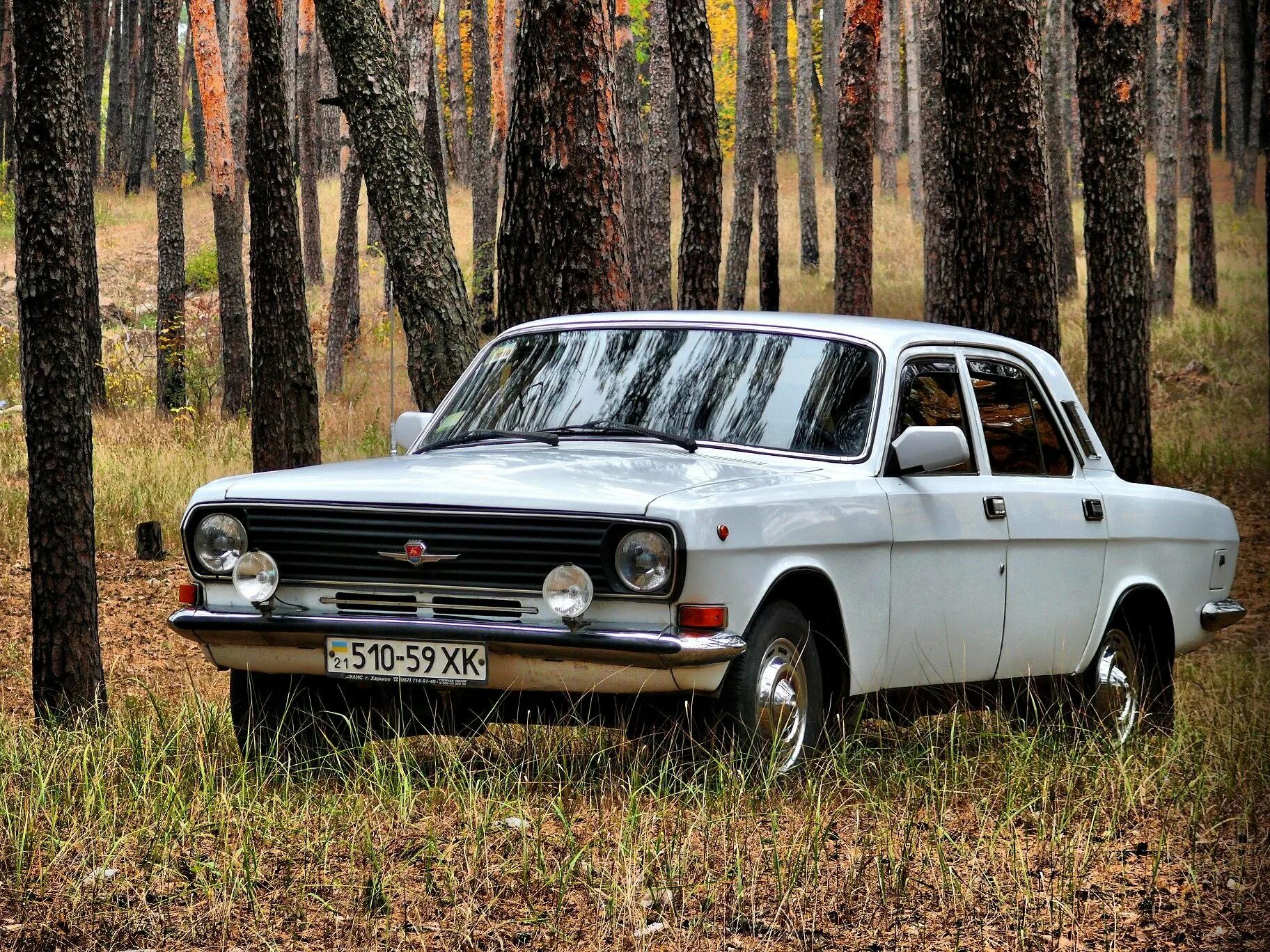 Волга ГАЗ 2410. Волга ГАЗ 24 10. ГАЗ-24-12 Волга. ГАЗ 24 Волга 1968.