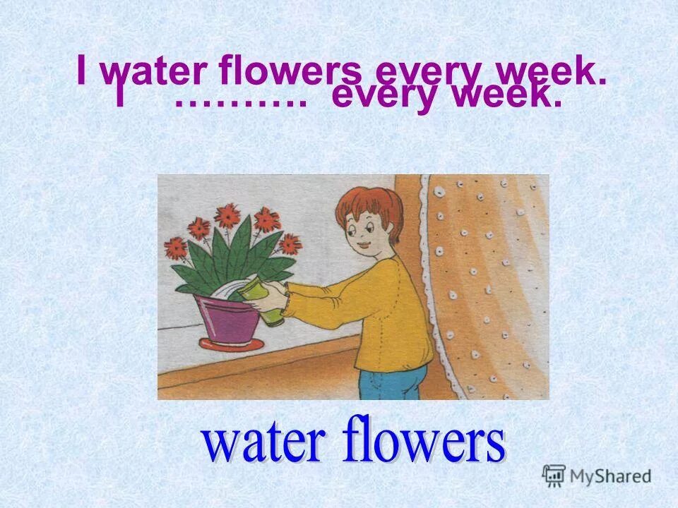 The flowers to water every day