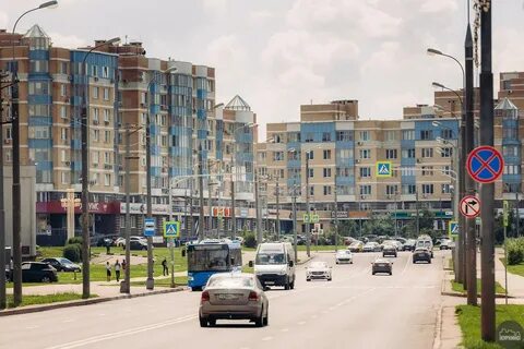 Тай куркино