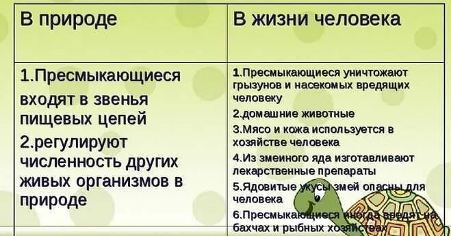 Какую роль играют современные рептилии в природе. Значение пресмыкающихся. значение пресмыкающихся в природе. значение пресмыкающихся в природе и жизни человека. роль рептилий в природе и жизни человека.