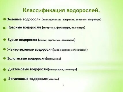 Общая характеристика водорослей 7 класс рабочая тетрадь