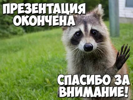Слайд спасибо за внимание - Спасибо за внимание оригинальные картинки...