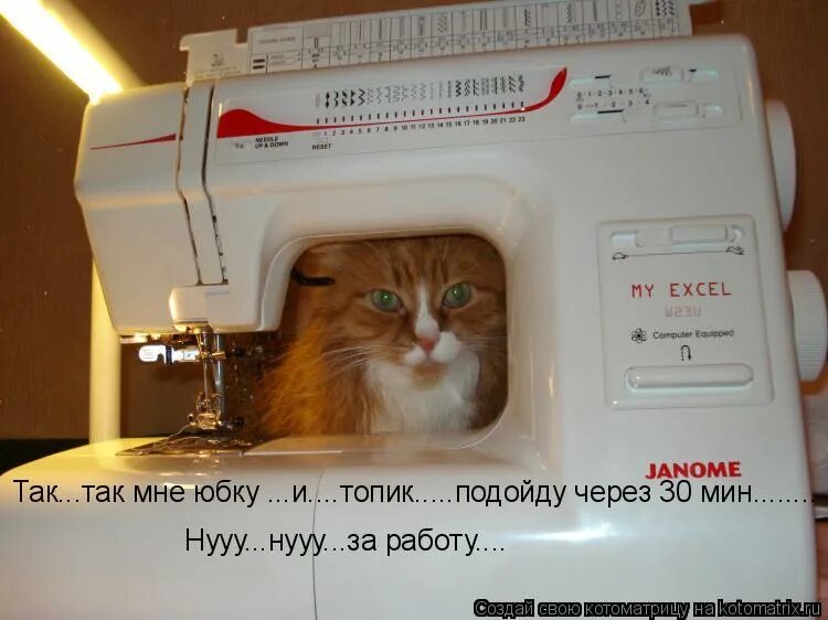 Я и на машинке вышивать умею. Подошёл взял за руку уверенно сказал. Подойду через. Буду через 5 минут. Кот умеющий вышивать на машинке.