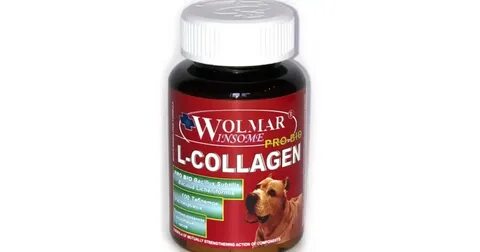 Wolmar winsome pro bio l collagen